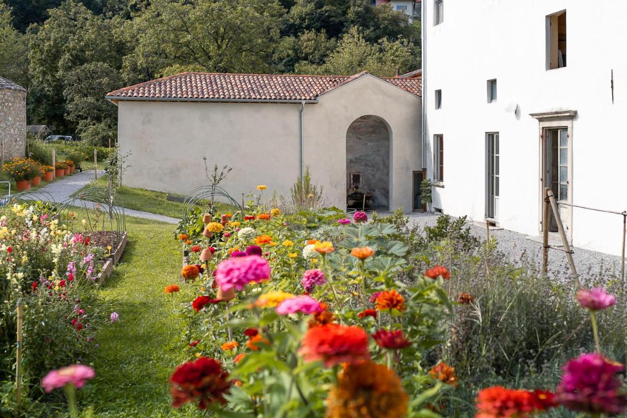 Agriturismo La Derta Villa Bellagio Dış mekan fotoğraf