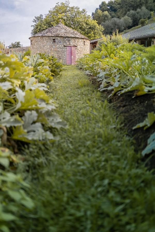 Agriturismo La Derta Villa Bellagio Dış mekan fotoğraf