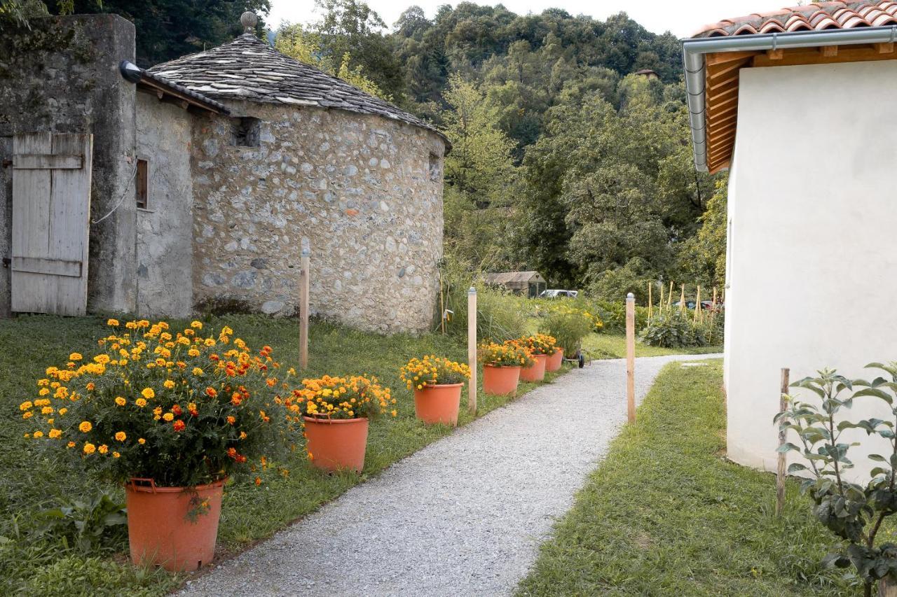 Agriturismo La Derta Villa Bellagio Dış mekan fotoğraf